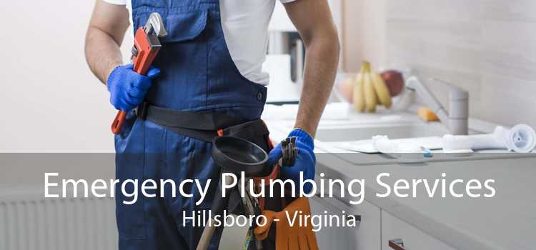 Emergency Plumbing Services Hillsboro - Virginia