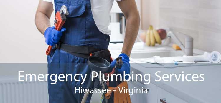 Emergency Plumbing Services Hiwassee - Virginia