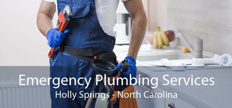 Emergency Plumbing Services Holly Springs - North Carolina