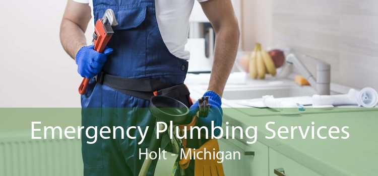 Emergency Plumbing Services Holt - Michigan