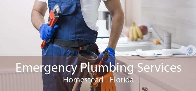 Emergency Plumbing Services Homestead - Florida