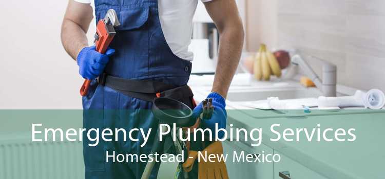 Emergency Plumbing Services Homestead - New Mexico
