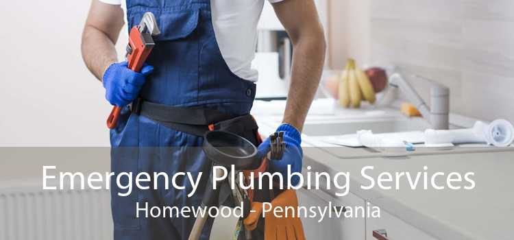 Emergency Plumbing Services Homewood - Pennsylvania