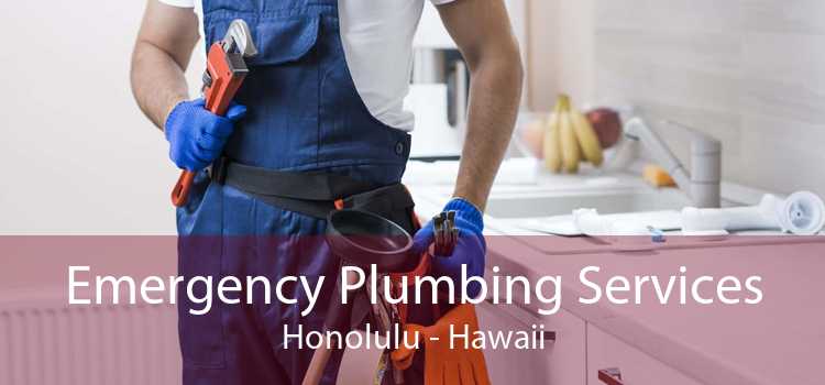 Emergency Plumbing Services Honolulu - Hawaii