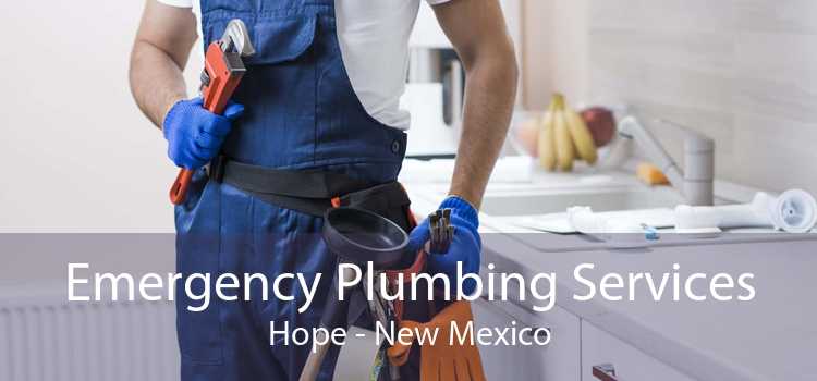Emergency Plumbing Services Hope - New Mexico