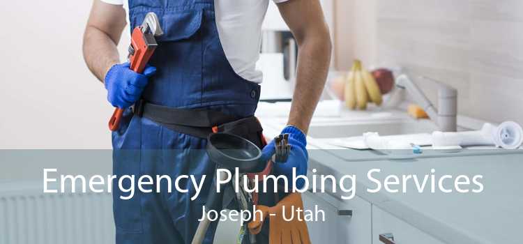 Emergency Plumbing Services Joseph - Utah