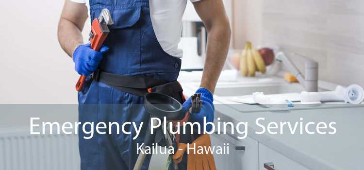 Emergency Plumbing Services Kailua - Hawaii