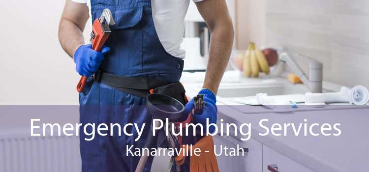 Emergency Plumbing Services Kanarraville - Utah