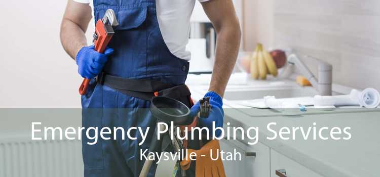 Emergency Plumbing Services Kaysville - Utah
