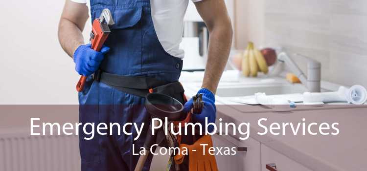 Emergency Plumbing Services La Coma - Texas