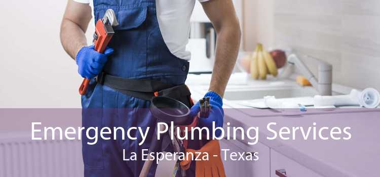 Emergency Plumbing Services La Esperanza - Texas