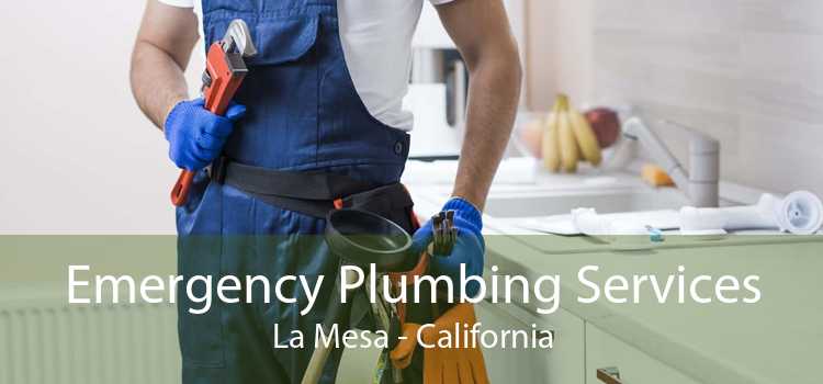 Emergency Plumbing Services La Mesa - California