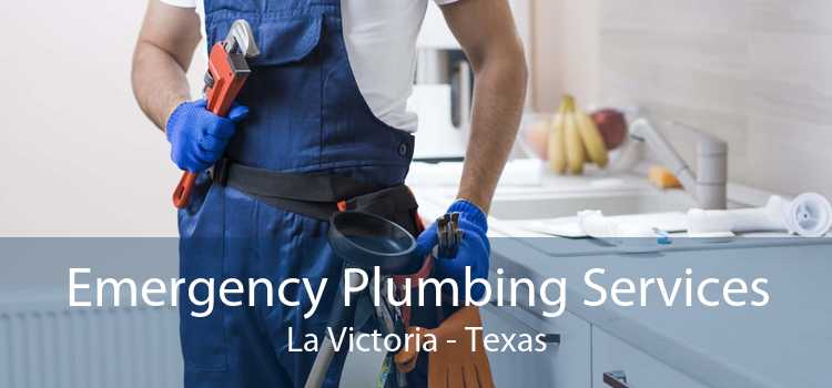 Emergency Plumbing Services La Victoria - Texas