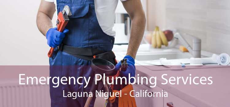 Emergency Plumbing Services Laguna Niguel - California