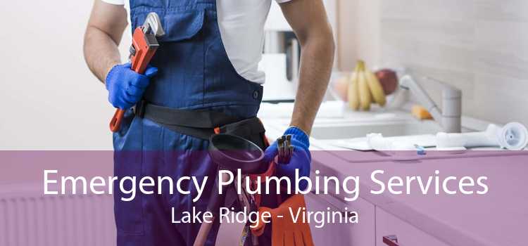 Emergency Plumbing Services Lake Ridge - Virginia