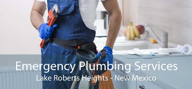 Emergency Plumbing Services Lake Roberts Heights - New Mexico