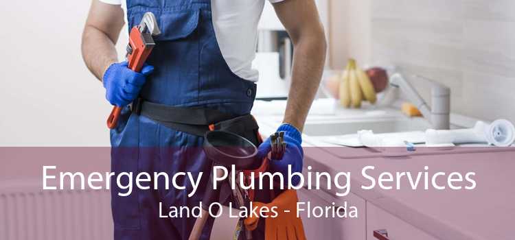 Emergency Plumbing Services Land O Lakes - Florida