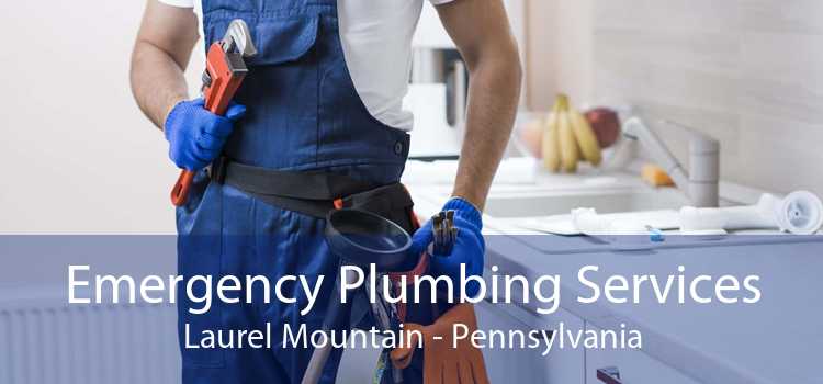 Emergency Plumbing Services Laurel Mountain - Pennsylvania