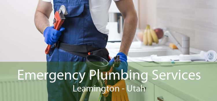 Emergency Plumbing Services Leamington - Utah