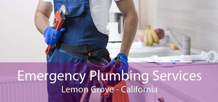 Emergency Plumbing Services Lemon Grove - California