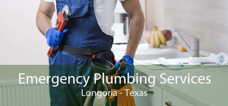 Emergency Plumbing Services Longoria - Texas