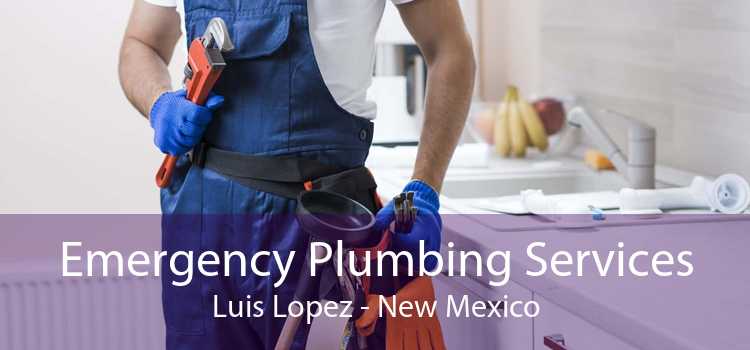Emergency Plumbing Services Luis Lopez - New Mexico