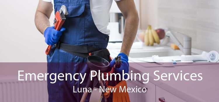 Emergency Plumbing Services Luna - New Mexico