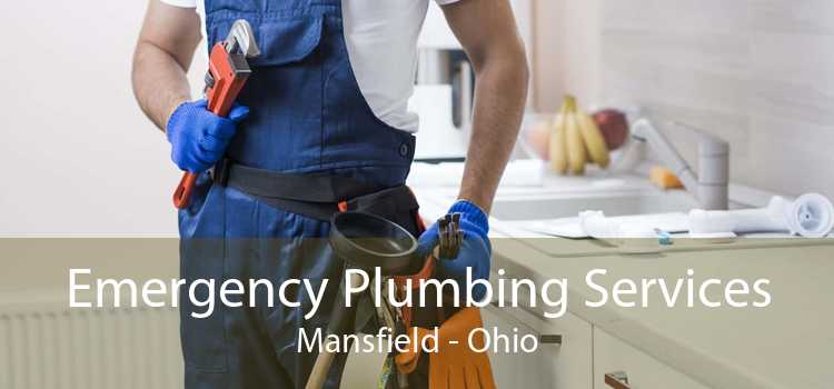 Emergency Plumbing Services Mansfield - Ohio