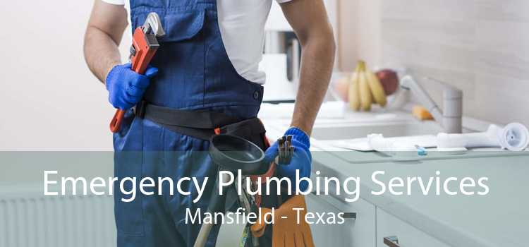 Emergency Plumbing Services Mansfield - Texas