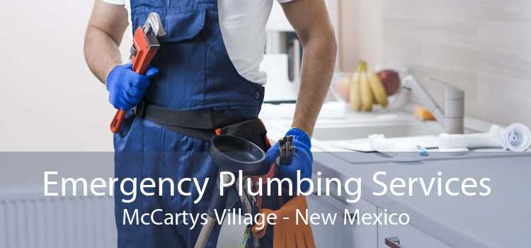 Emergency Plumbing Services McCartys Village - New Mexico