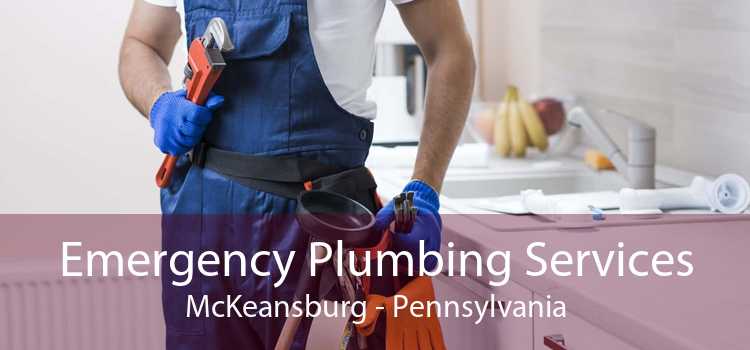 Emergency Plumbing Services McKeansburg - Pennsylvania