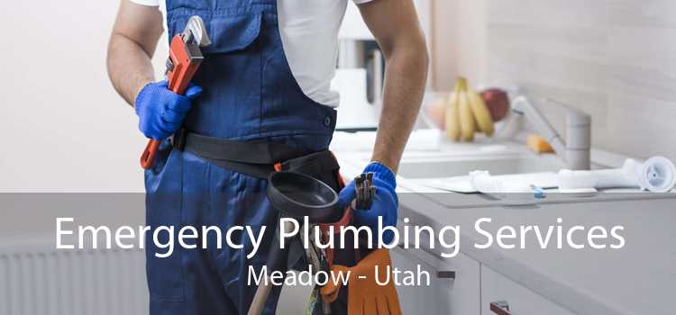 Emergency Plumbing Services Meadow - Utah