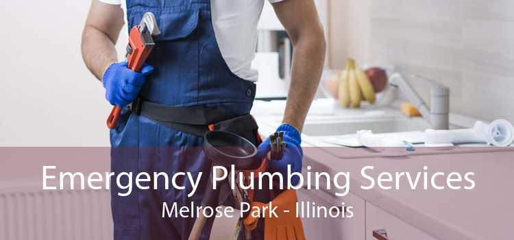 Emergency Plumbing Services Melrose Park - Illinois