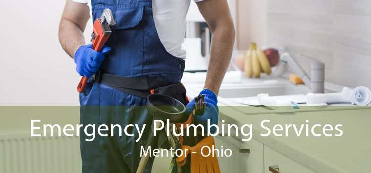 Emergency Plumbing Services Mentor - Ohio