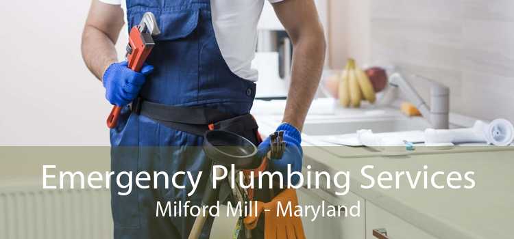 Emergency Plumbing Services Milford Mill - Maryland