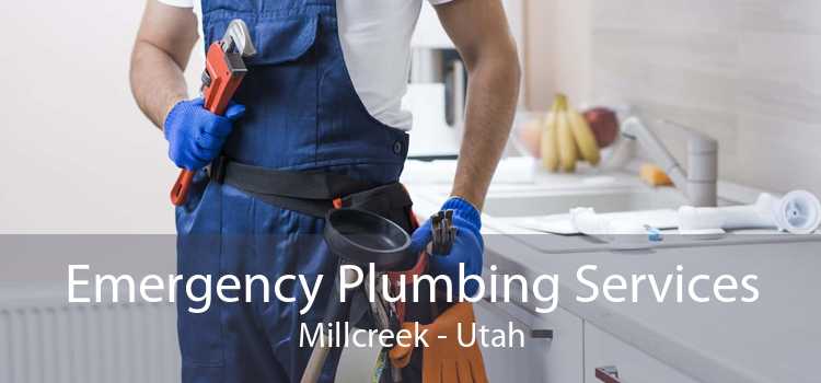 Emergency Plumbing Services Millcreek - Utah