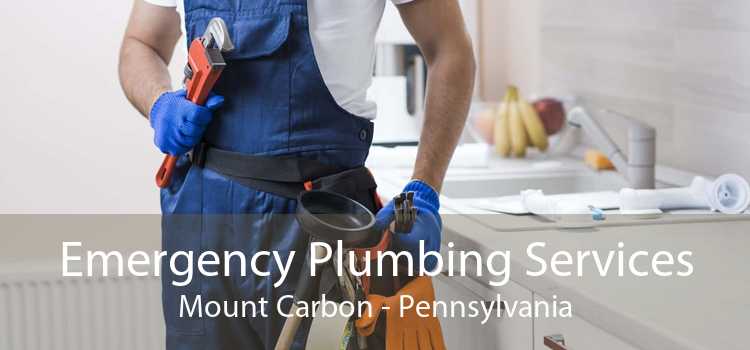 Emergency Plumbing Services Mount Carbon - Pennsylvania