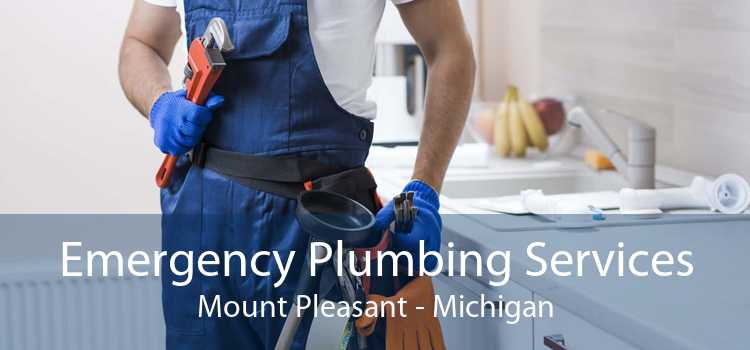 Emergency Plumbing Services Mount Pleasant - Michigan