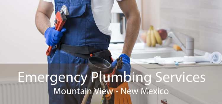 Emergency Plumbing Services Mountain View - New Mexico