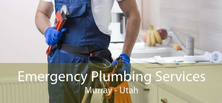Emergency Plumbing Services Murray - Utah