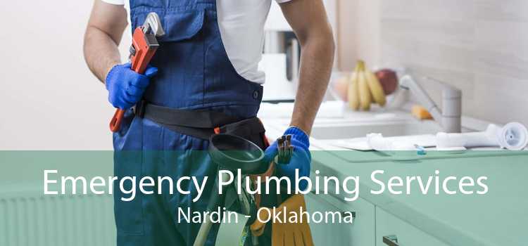 Emergency Plumbing Services Nardin - Oklahoma