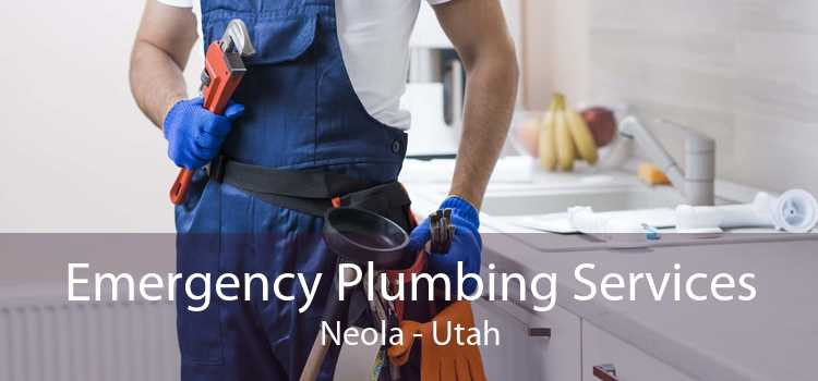 Emergency Plumbing Services Neola - Utah