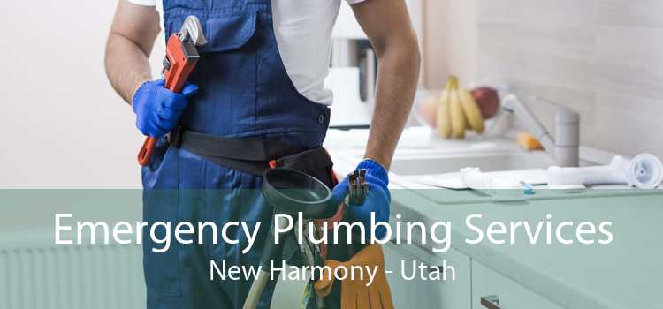 Emergency Plumbing Services New Harmony - Utah