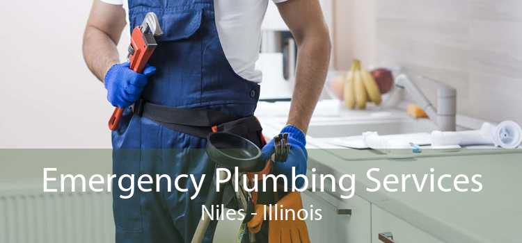 Emergency Plumbing Services Niles - Illinois