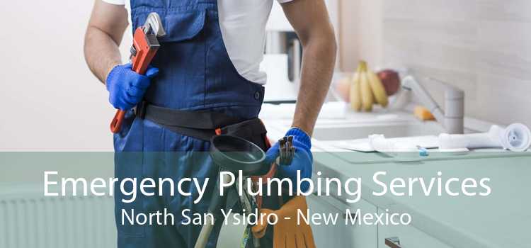 Emergency Plumbing Services North San Ysidro - New Mexico