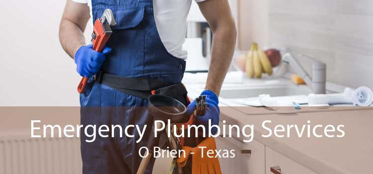 Emergency Plumbing Services O Brien - Texas