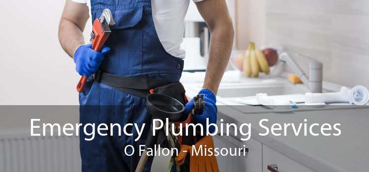 Emergency Plumbing Services O Fallon - Missouri