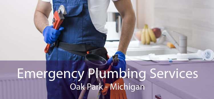 Emergency Plumbing Services Oak Park - Michigan