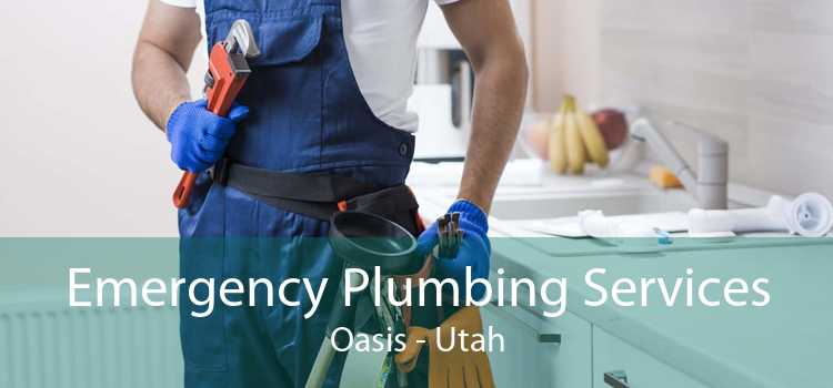 Emergency Plumbing Services Oasis - Utah