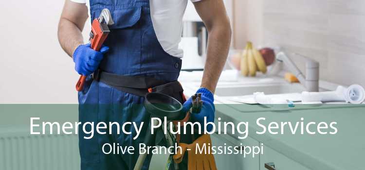 Emergency Plumbing Services Olive Branch - Mississippi
